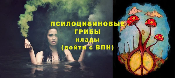 героин Алексин