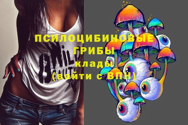 героин Алексин