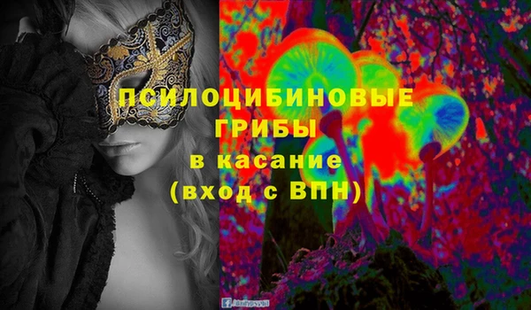 прущие грибы Алексеевка