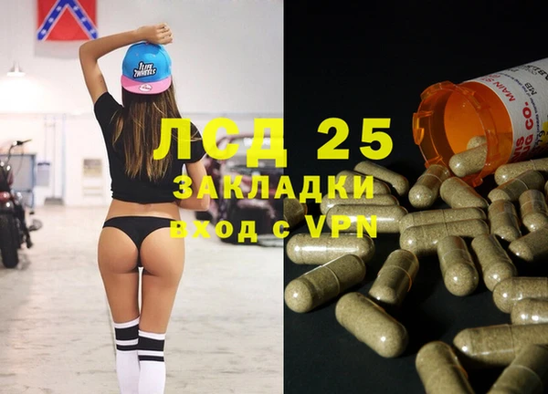 прущие грибы Алексеевка