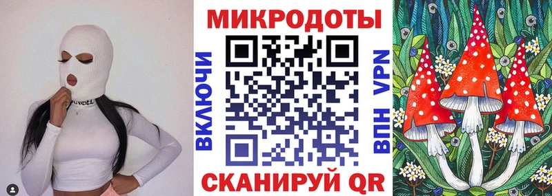 нарко площадка наркотические препараты  Звенигово  Псилоцибиновые грибы Psilocybine cubensis 