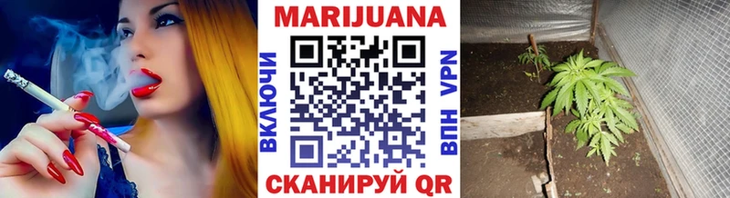 Шишки марихуана планчик  Звенигово 